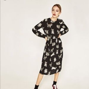 Zara cat print dress